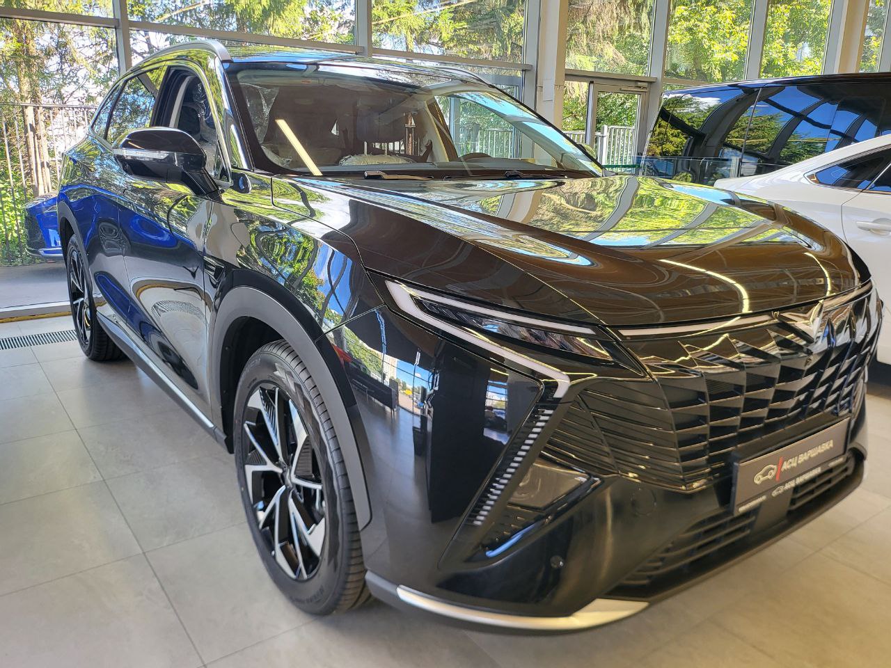 Спецпредложение